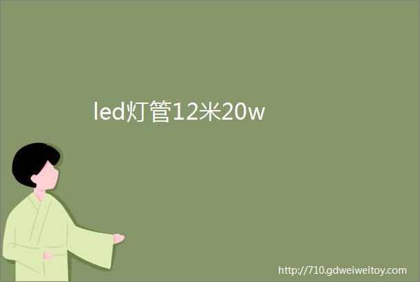 led灯管12米20w